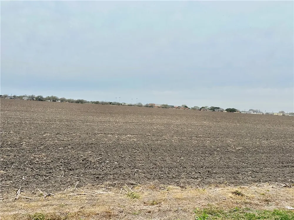 Hwy 44 Banquete, TX 78339