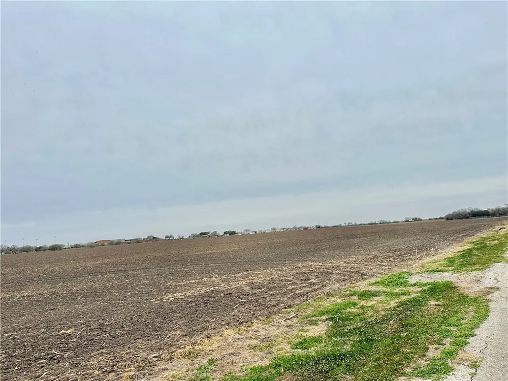 Hwy 44 Banquete, TX 78339