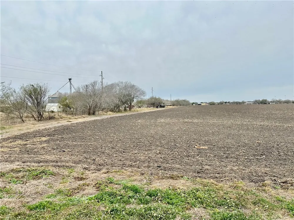 Hwy 44 Banquete, TX 78339