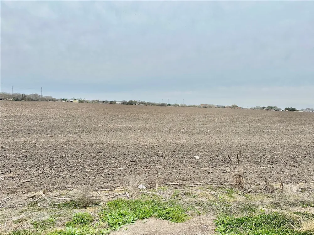 Hwy 44 Banquete, TX 78339