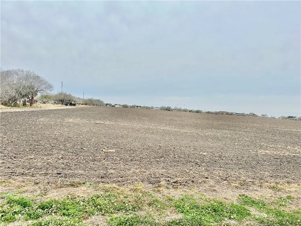 Hwy 44 Banquete, TX 78339