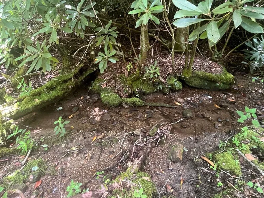 Tear Drop Lane Glenville, NC 28736