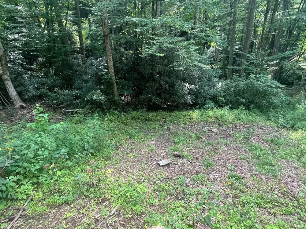 Tear Drop Lane Glenville, NC 28736
