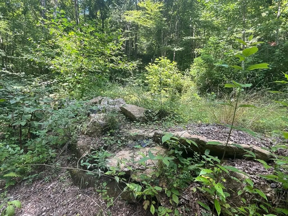 Tear Drop Lane Glenville, NC 28736
