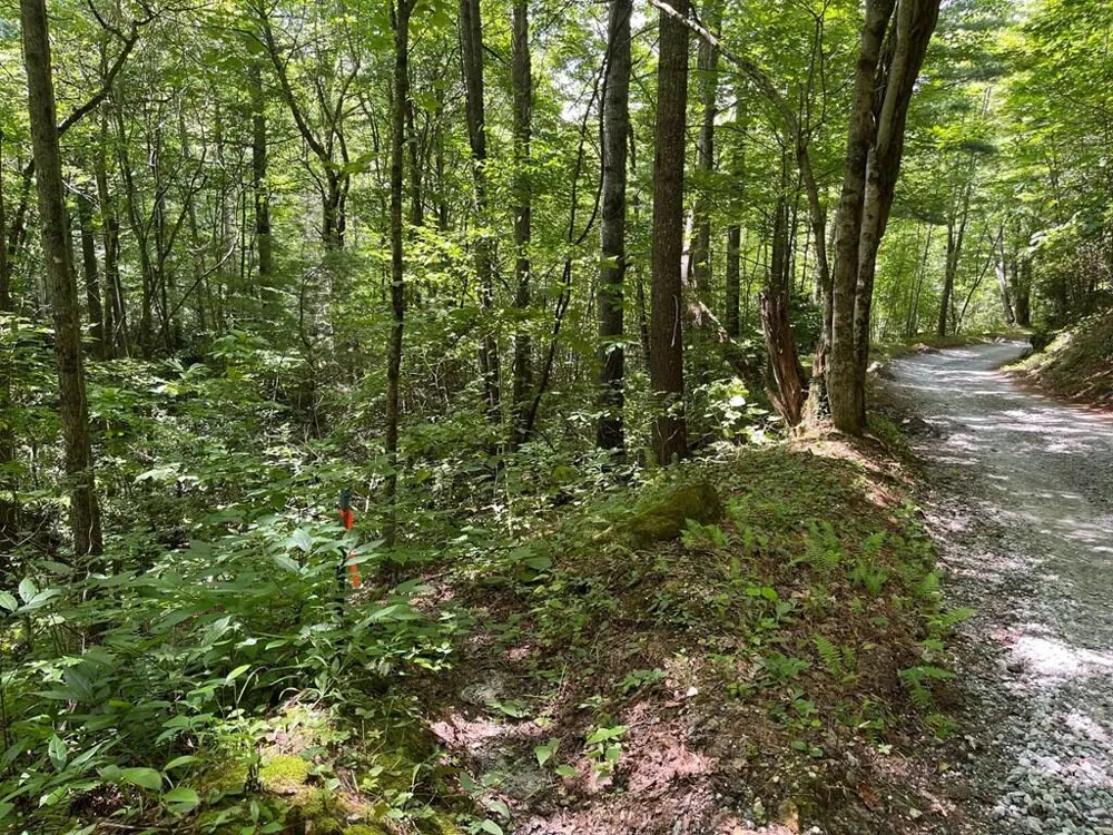 Tear Drop Lane Glenville, NC 28736