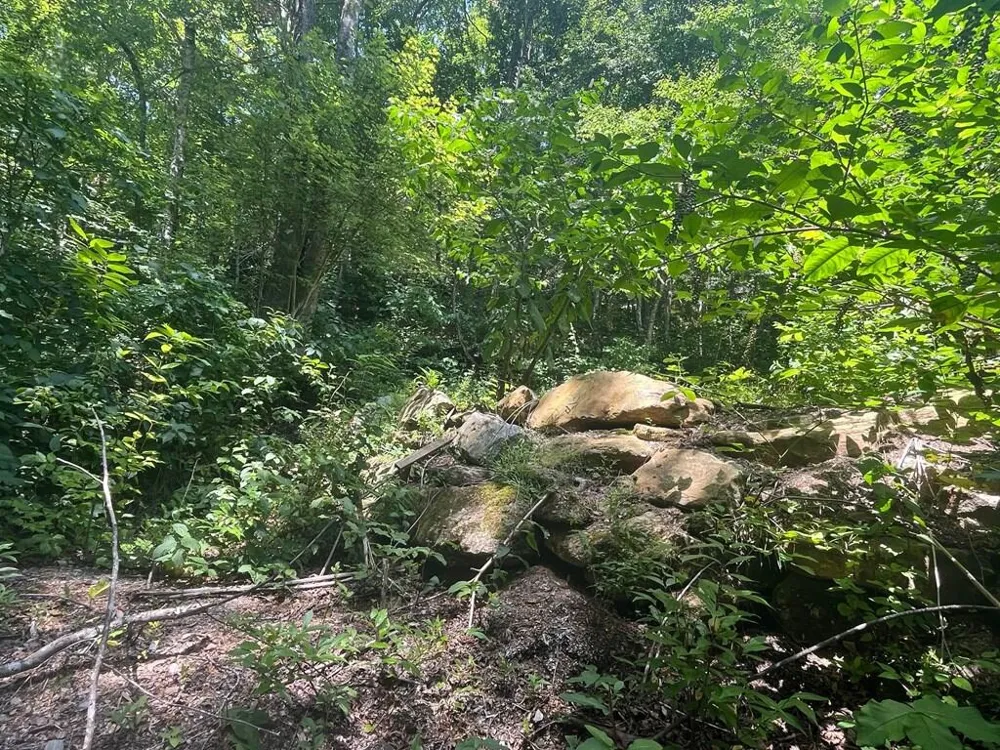 Tear Drop Lane Glenville, NC 28736