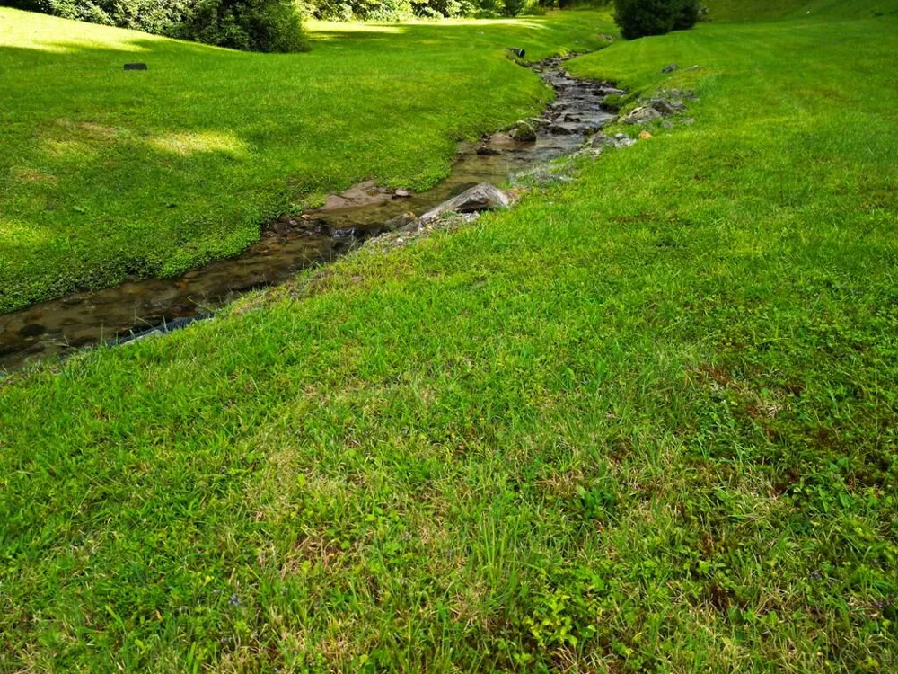 Tear Drop Lane Glenville, NC 28736