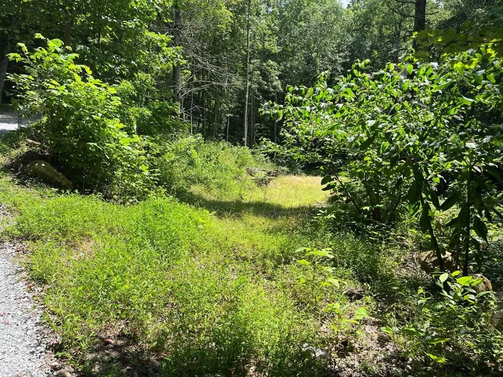 Tear Drop Lane Glenville, NC 28736