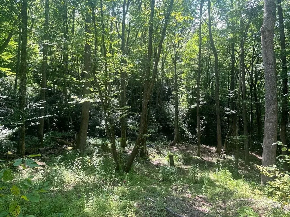 Tear Drop Lane Glenville, NC 28736