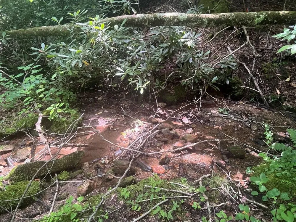 Tear Drop Lane Glenville, NC 28736