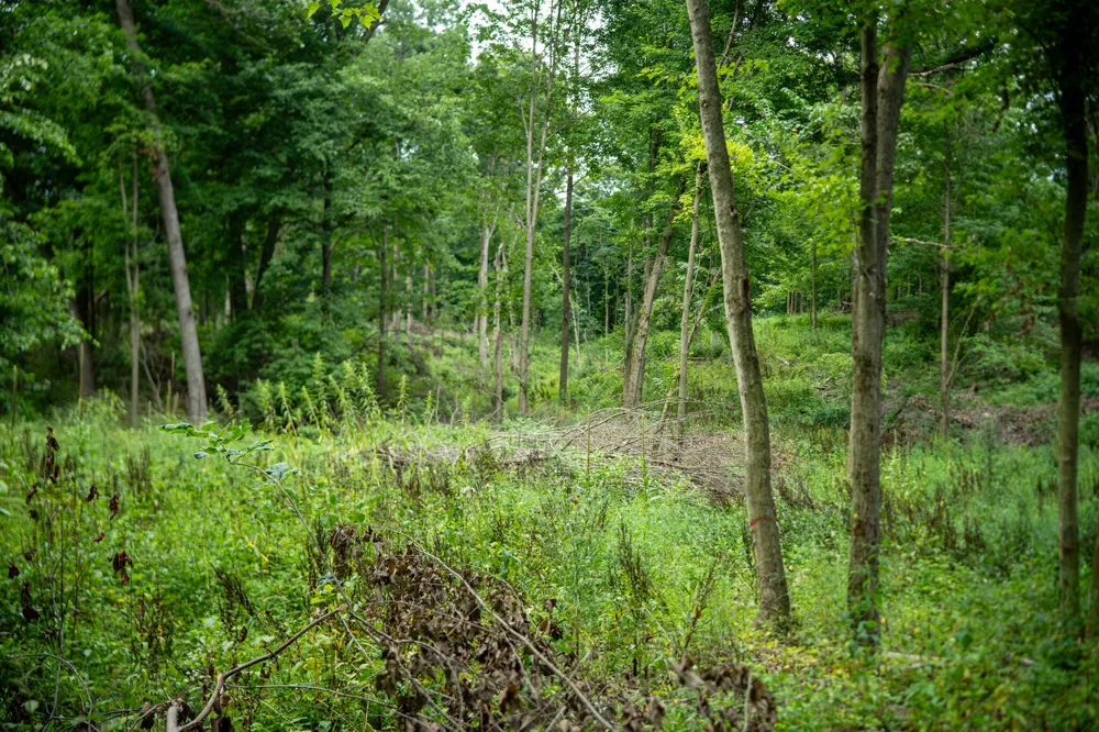 2000 Ryan Road Hastings, MI 49058