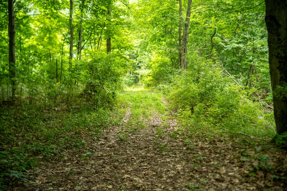 2000 Ryan Road Hastings, MI 49058