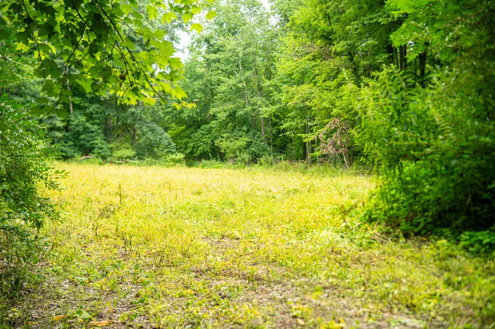 2000 Ryan Road Hastings, MI 49058