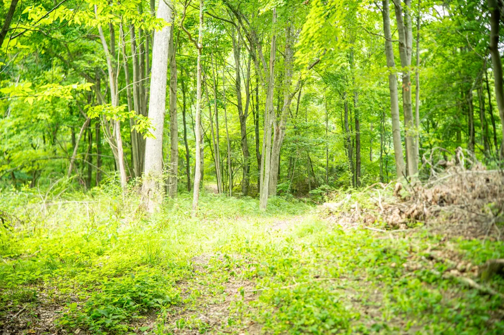 2000 Ryan Road Hastings, MI 49058