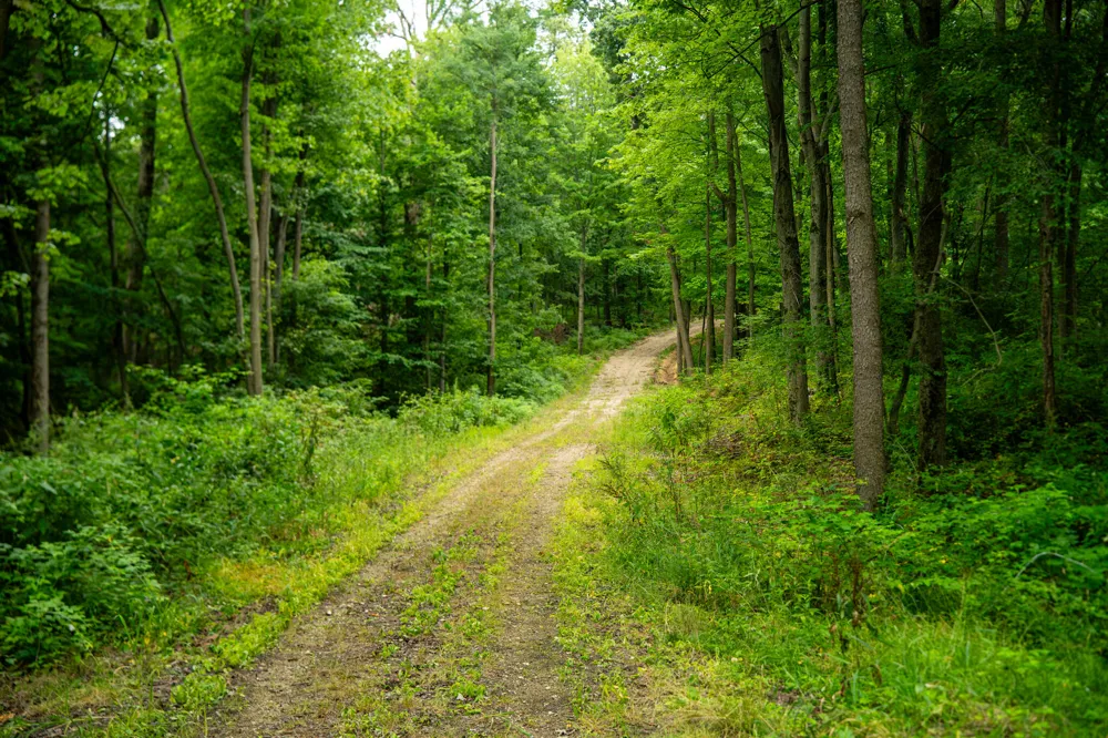 2000 Ryan Road Hastings, MI 49058