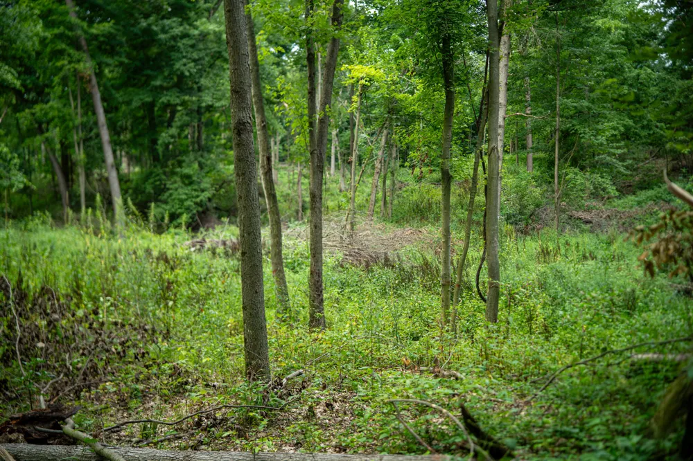 2000 Ryan Road Hastings, MI 49058
