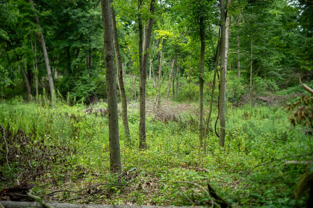 2000 Ryan Road Hastings, MI 49058