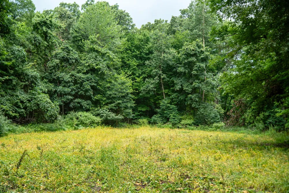 2000 Ryan Road Hastings, MI 49058
