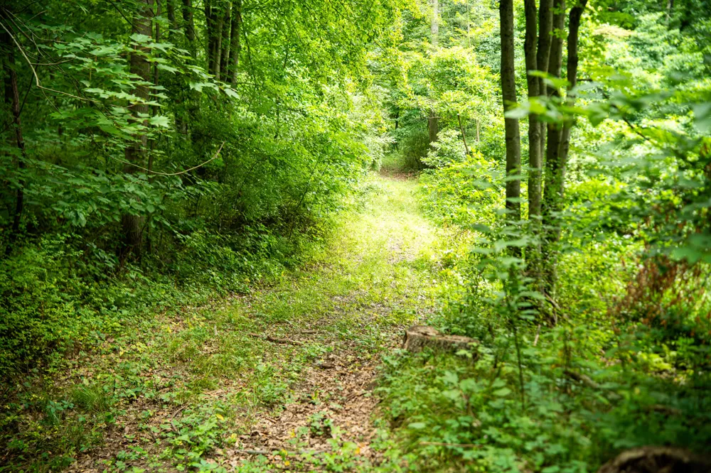 2000 Ryan Road Hastings, MI 49058