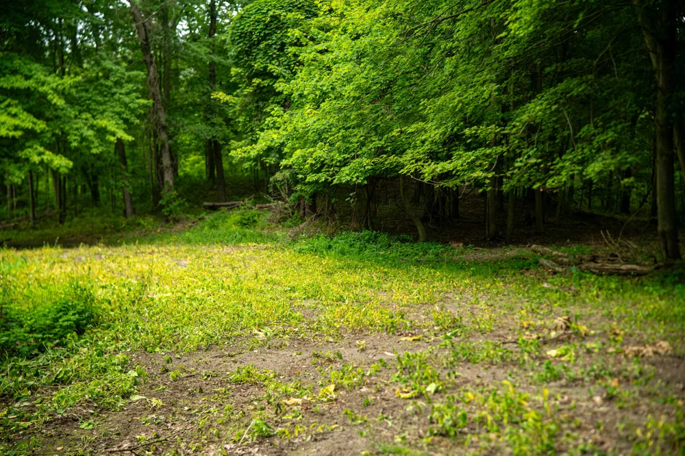 2000 Ryan Road Hastings, MI 49058