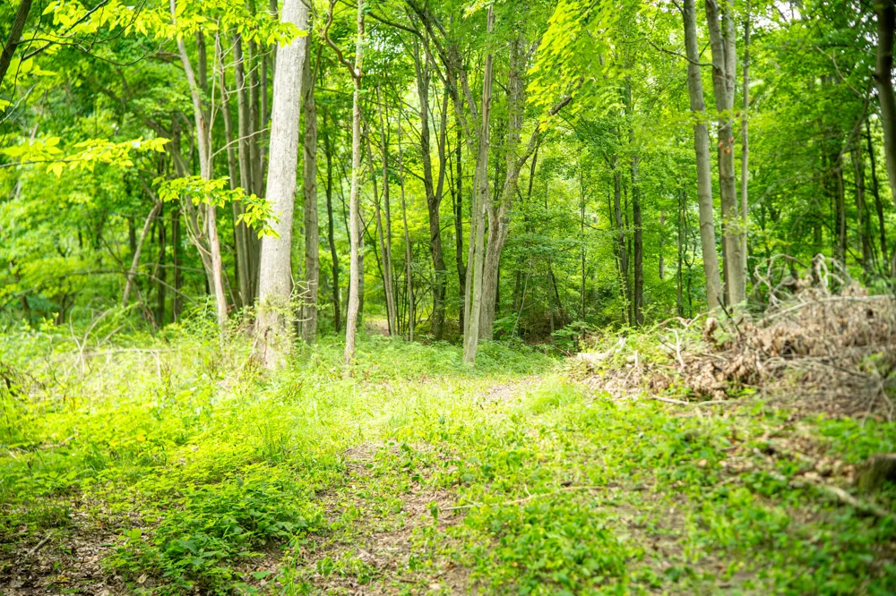 2000 Ryan Road Hastings, MI 49058