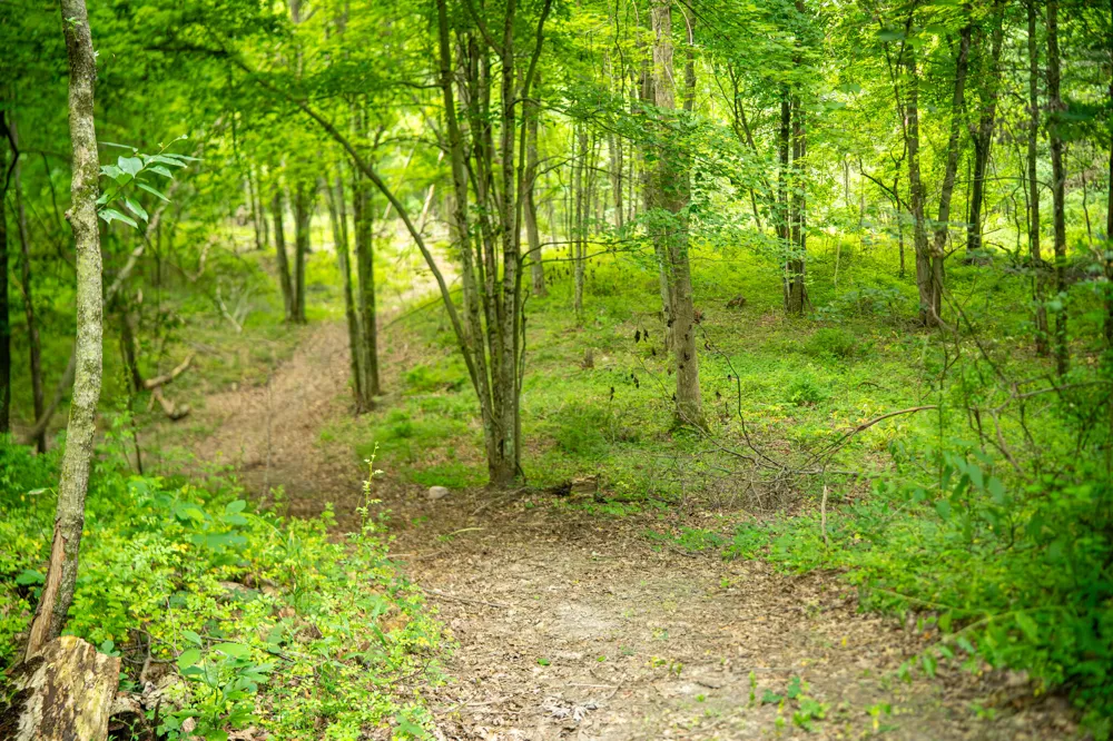 2000 Ryan Road Hastings, MI 49058