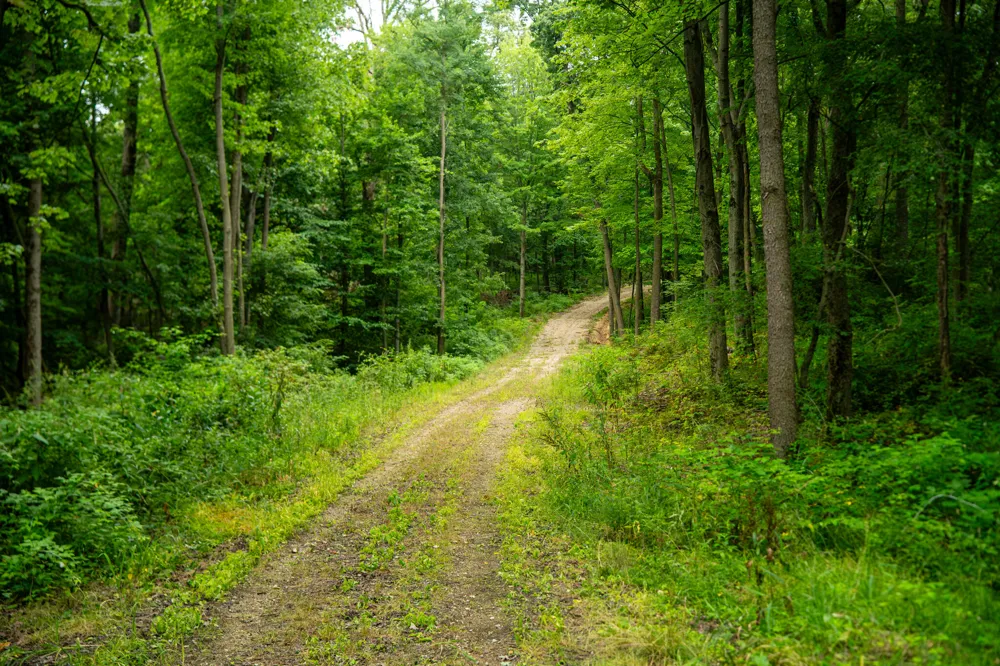 2000 Ryan Road Hastings, MI 49058
