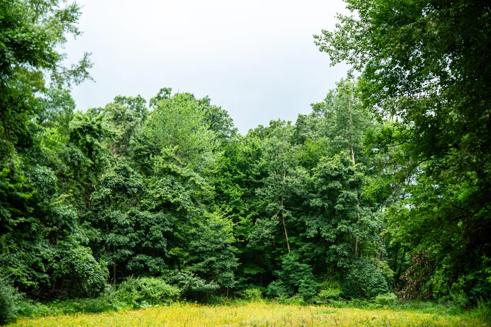 2000 Ryan Road Hastings, MI 49058