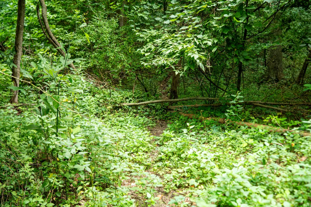 2000 Ryan Road Hastings, MI 49058