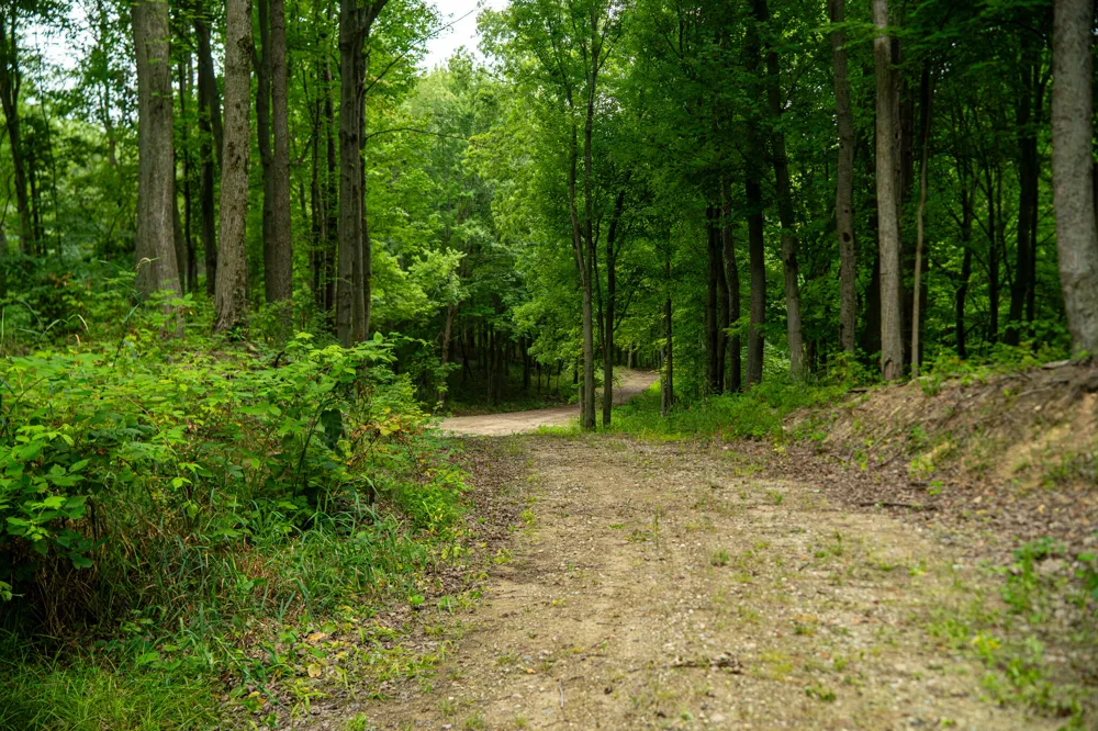 2000 Ryan Road Hastings, MI 49058