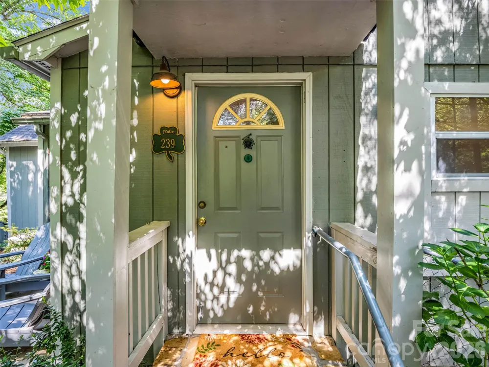 239 Havnaers Point Lake Lure, NC 28746