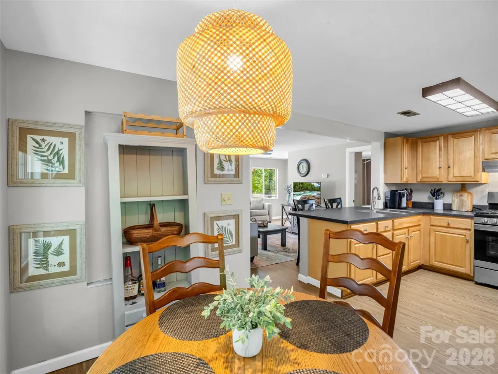 239 Havnaers Point Lake Lure, NC 28746