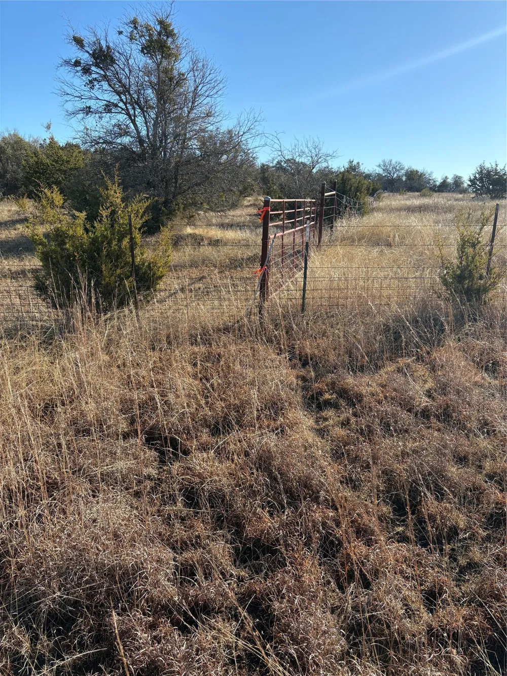 1190 State HWY 220 Hico, TX 76457