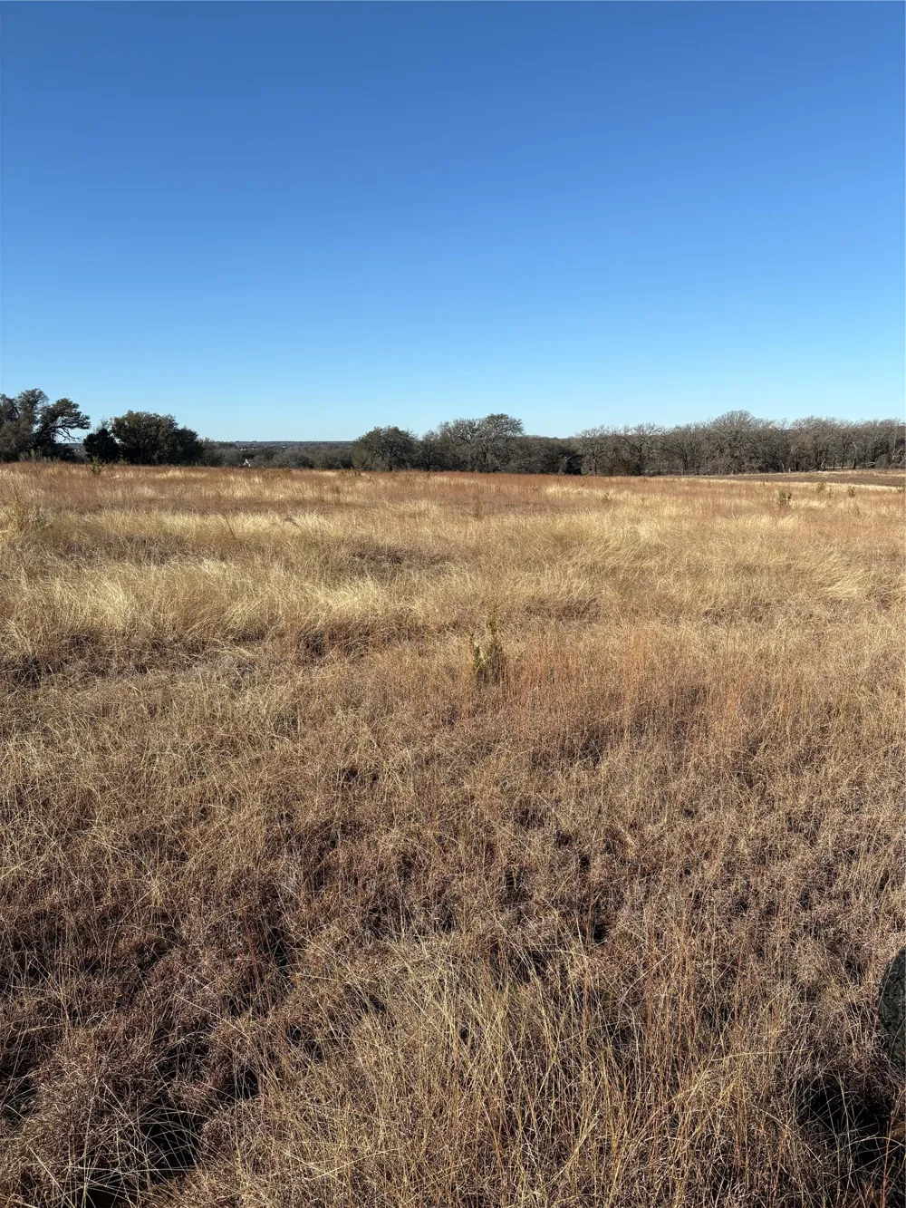 1190 State HWY 220 Hico, TX 76457