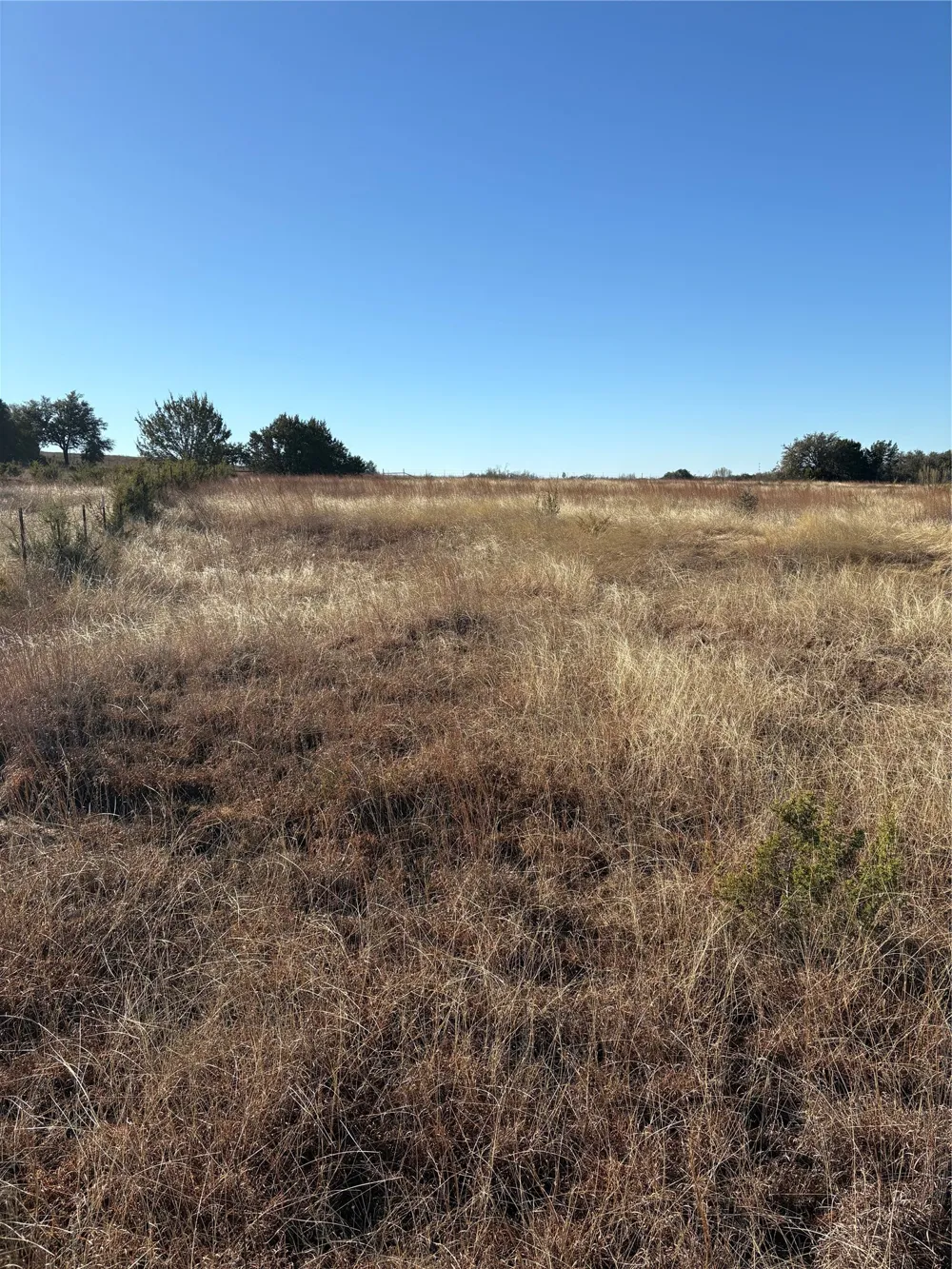 1190 State HWY 220 Hico, TX 76457
