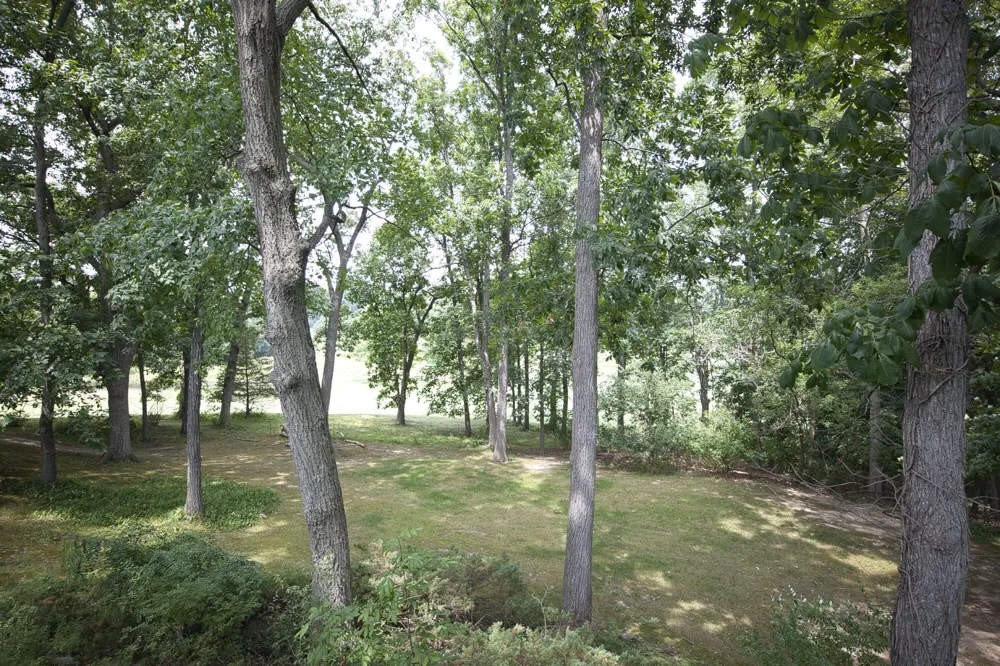 8683 Club House Drive Brighton, MI 48116