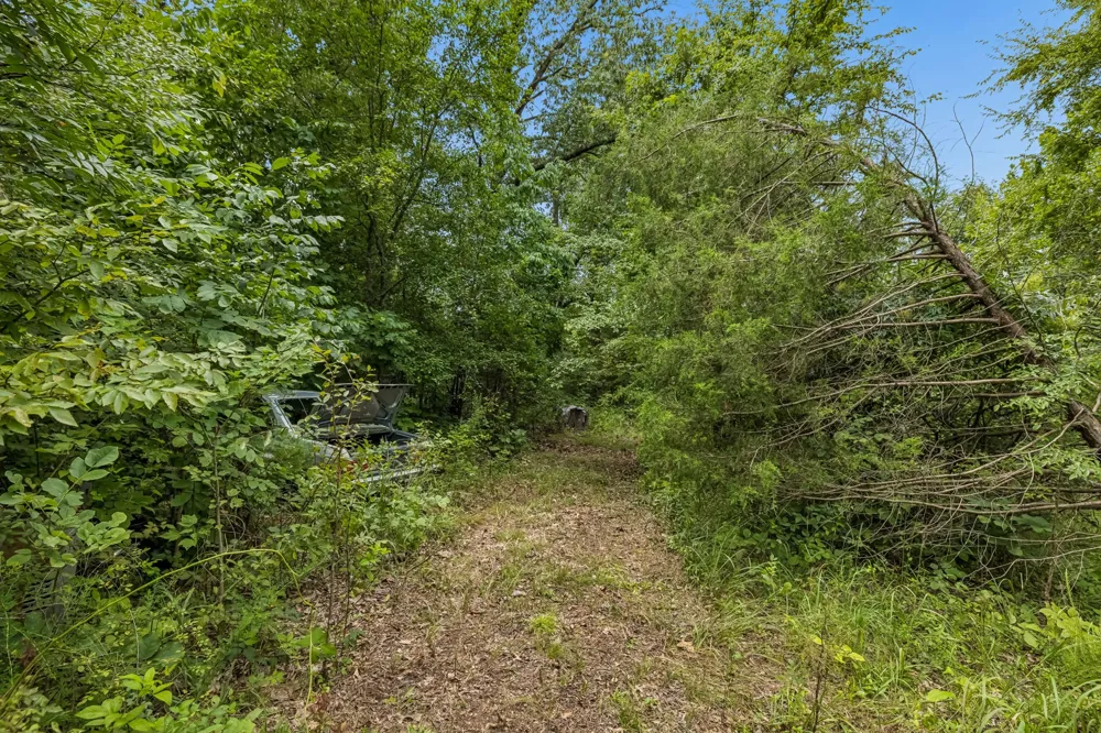 1590 Brinkley Branch Rd Hendersonville, TN 37075