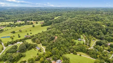 1590 Brinkley Branch Rd
