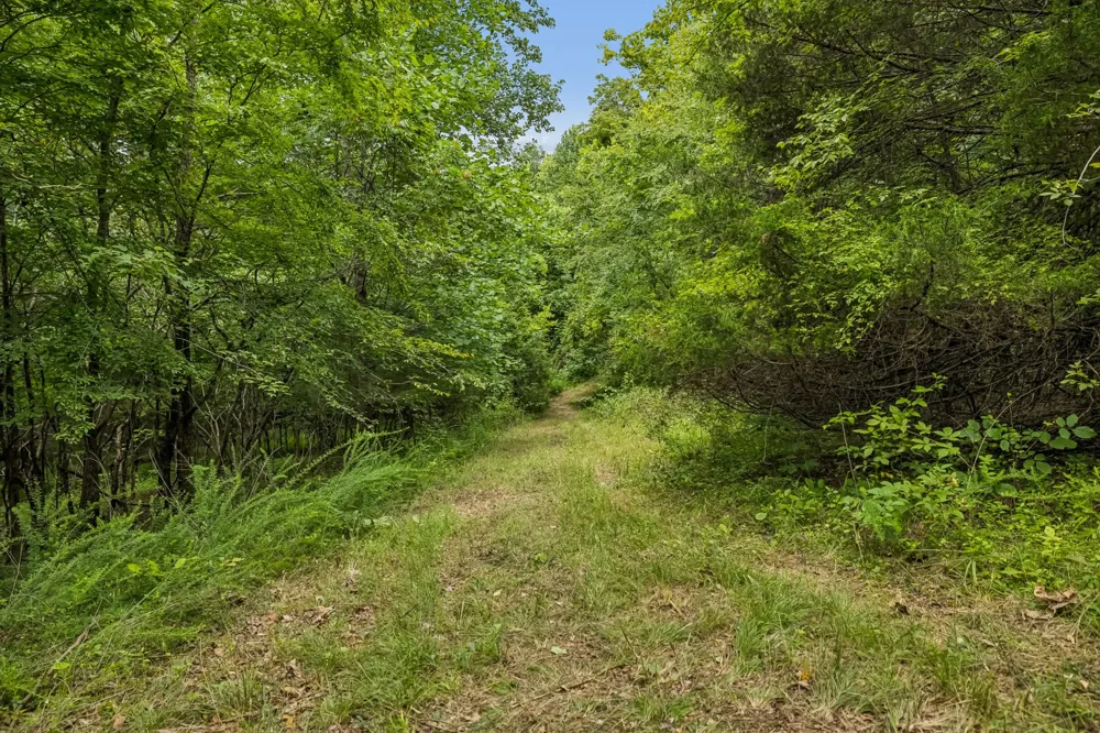 1590 Brinkley Branch Rd Hendersonville, TN 37075