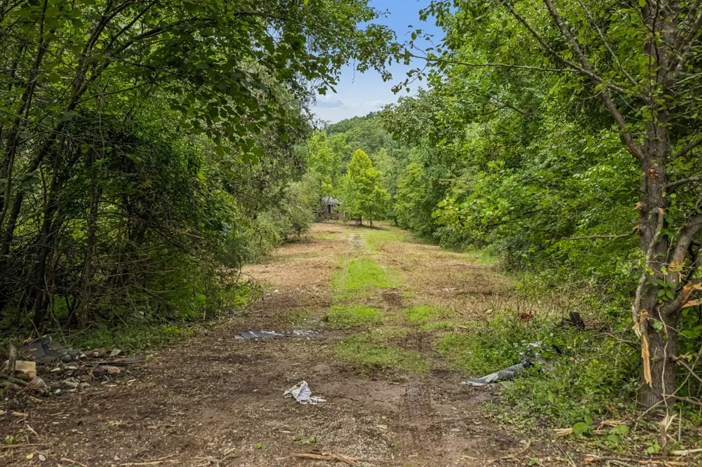 1590 Brinkley Branch Rd Hendersonville, TN 37075