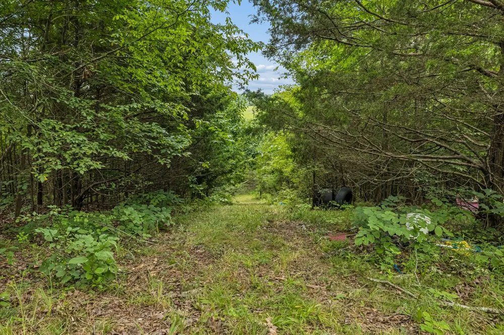 1590 Brinkley Branch Rd Hendersonville, TN 37075