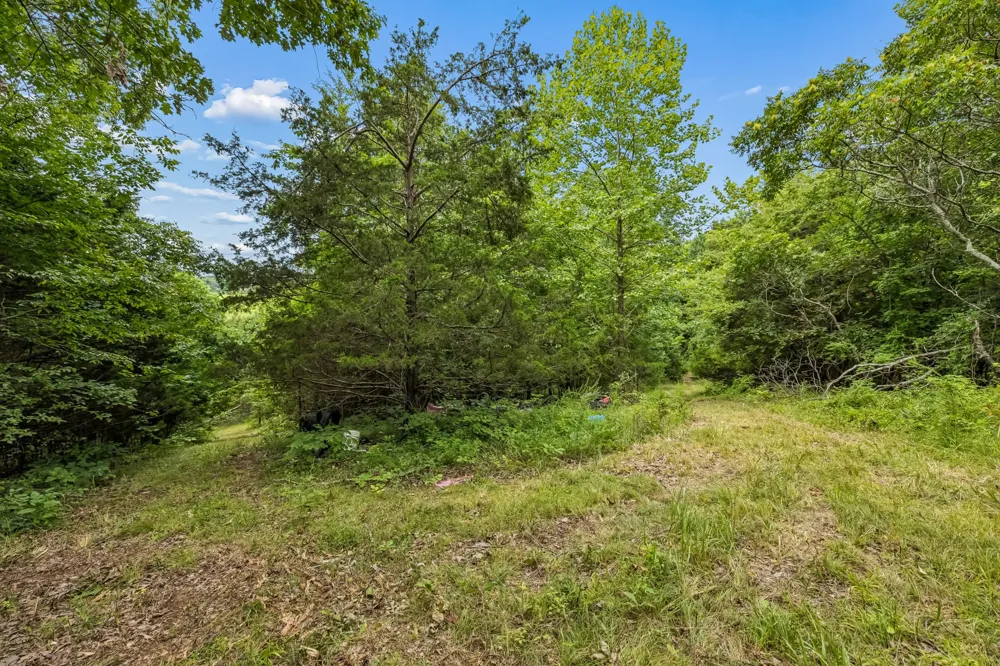 1590 Brinkley Branch Rd Hendersonville, TN 37075