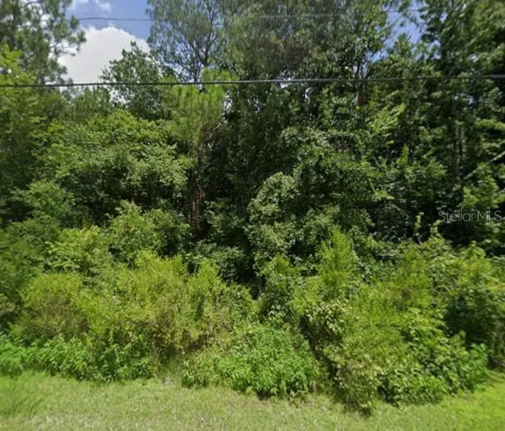 00 LAKE DRIVE New Port Richey, FL 34654