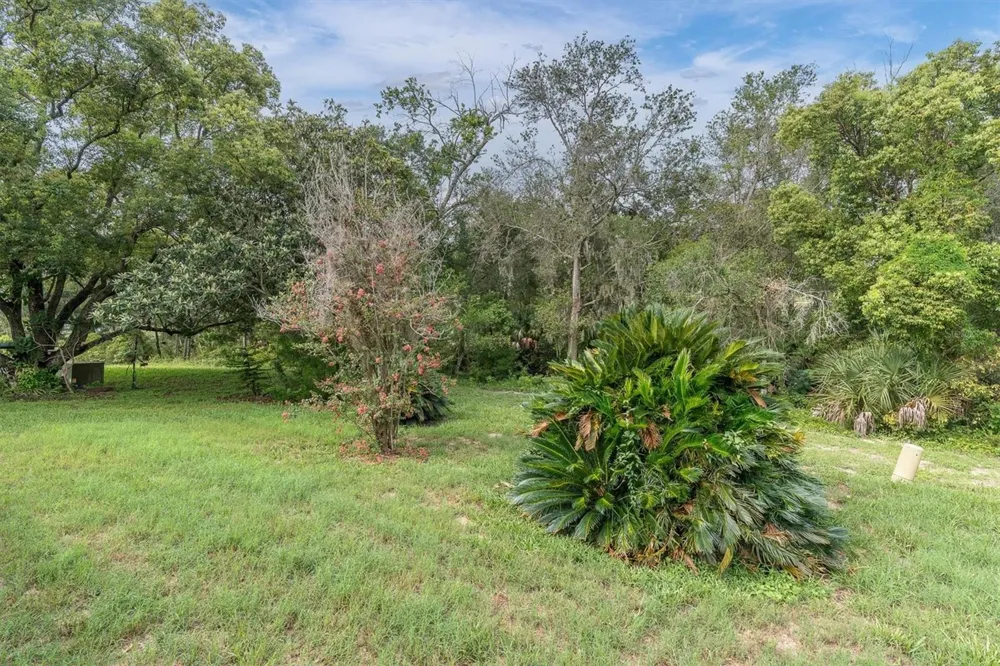 12227 DARWOOD DRIVE #B Hudson, FL 34667
