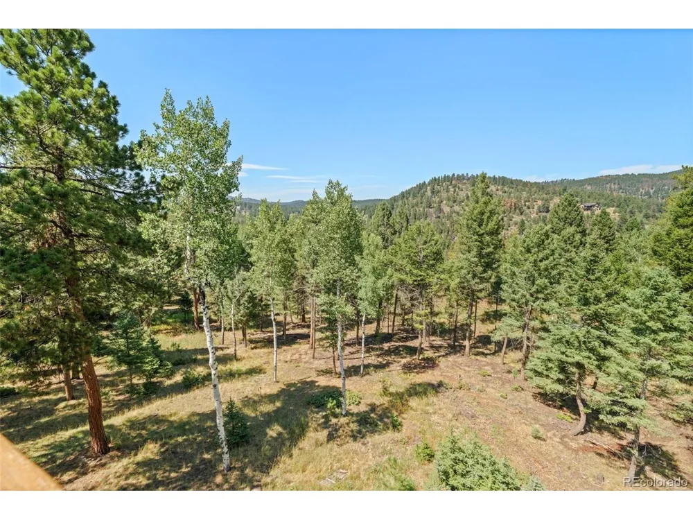 13596 Ponderosa Drive Conifer, CO 80433