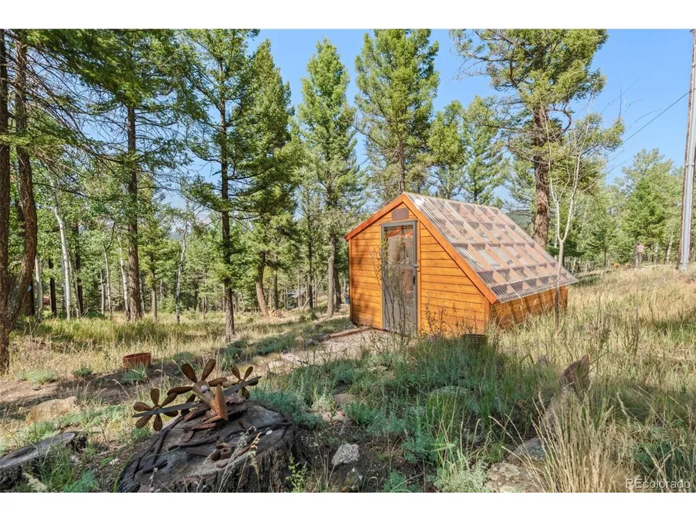 13596 Ponderosa Drive Conifer, CO 80433