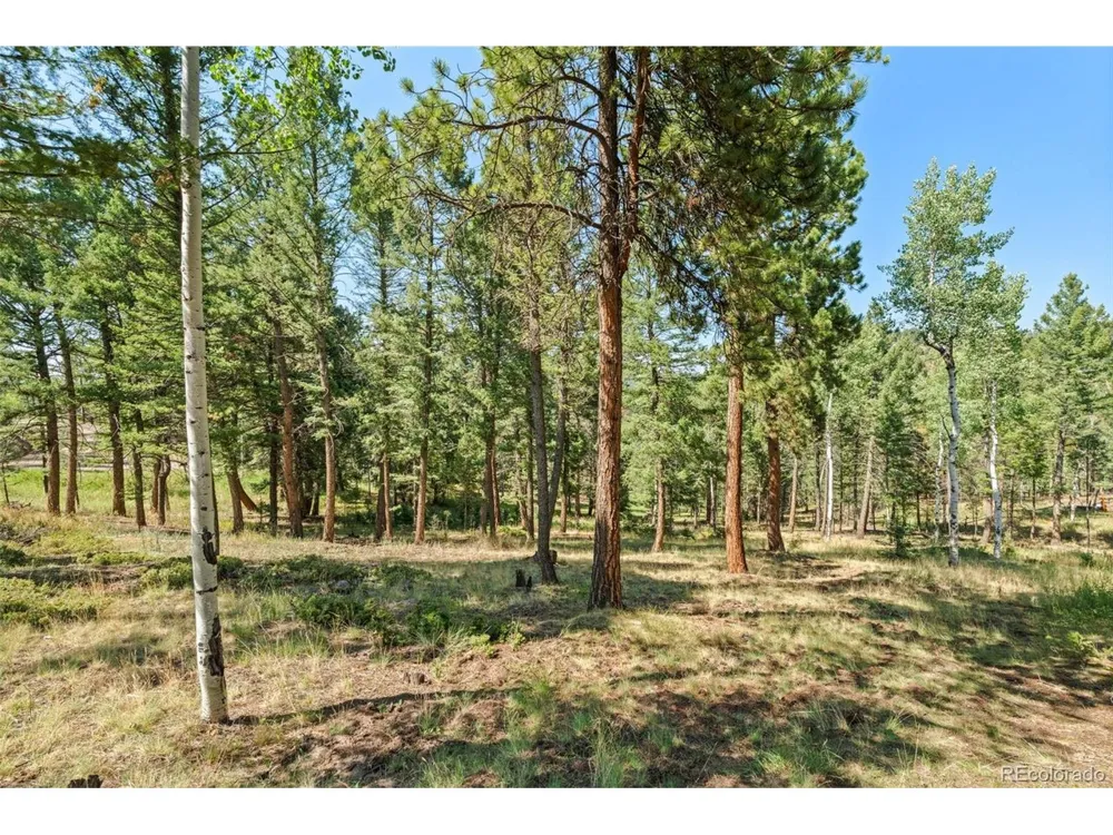 13596 Ponderosa Drive Conifer, CO 80433