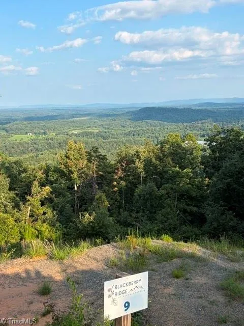 Lot #9 Widow Mountain Drive McGrady, NC 28649