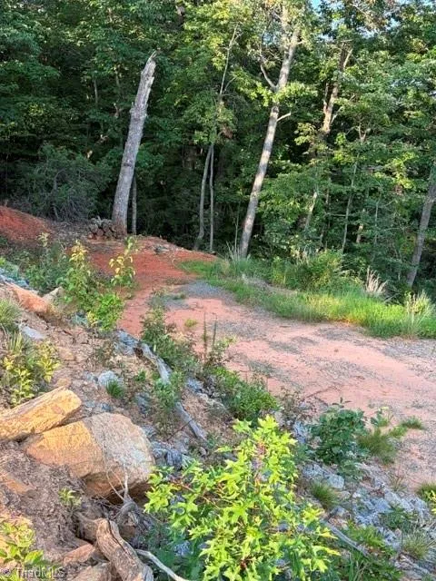 Lot #9 Widow Mountain Drive McGrady, NC 28649