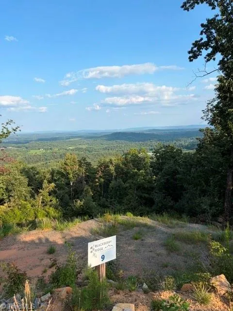 Lot #9 Widow Mountain Drive McGrady, NC 28649